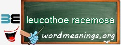 WordMeaning blackboard for leucothoe racemosa